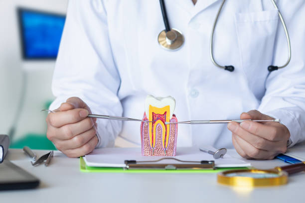 Best Emergency Orthodontic Repairs in Marmora, NJ